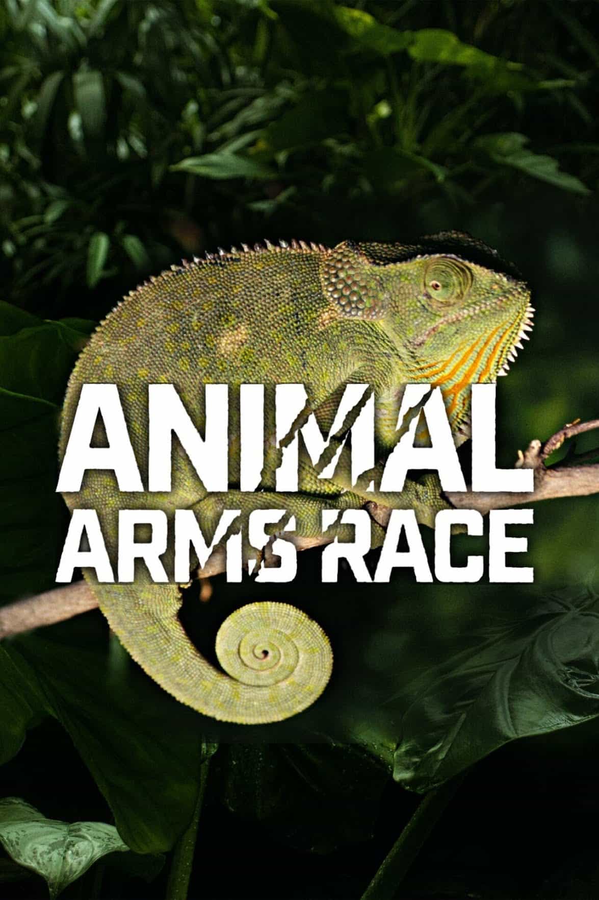 Poster for Animal Arms Race. Foley: all episodes: Infidel Studios.