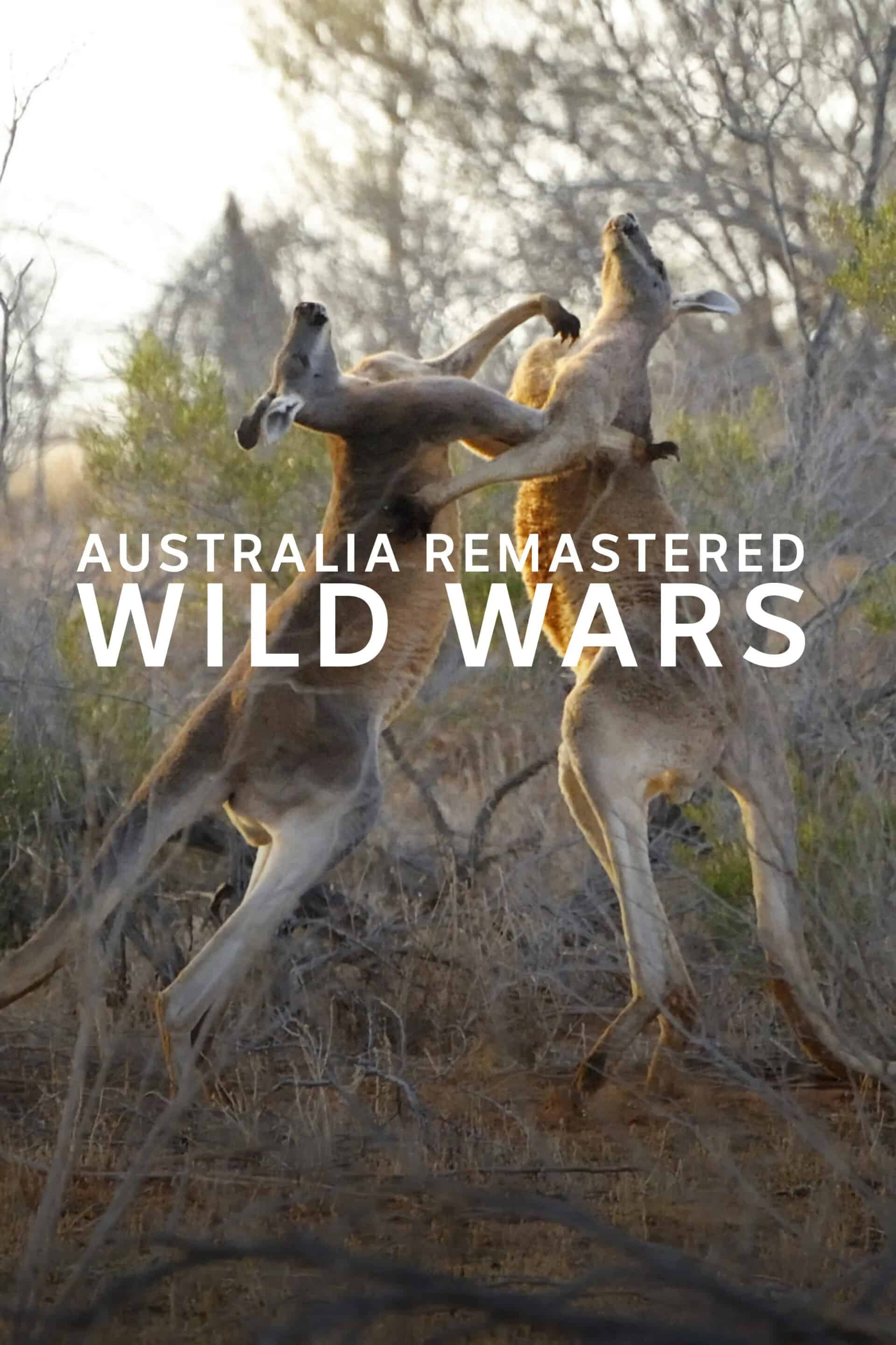 Poster for Australia Remastered: Wild Wars. Foley: Infidel Studios.