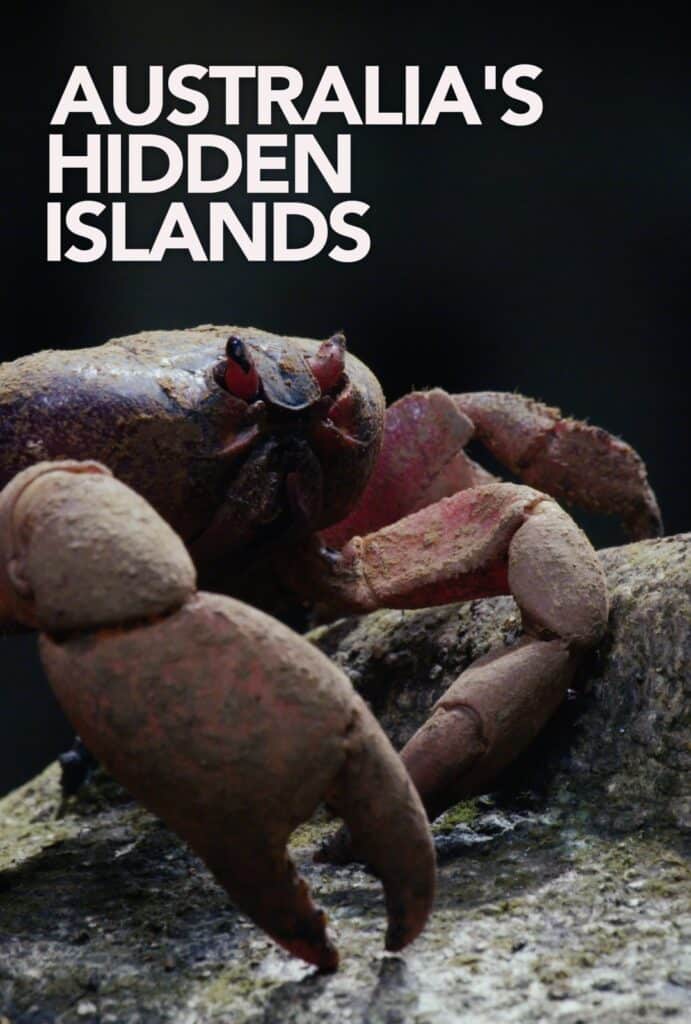 Poster for Australias Hidden Islands. Foley: Infidel Studios.