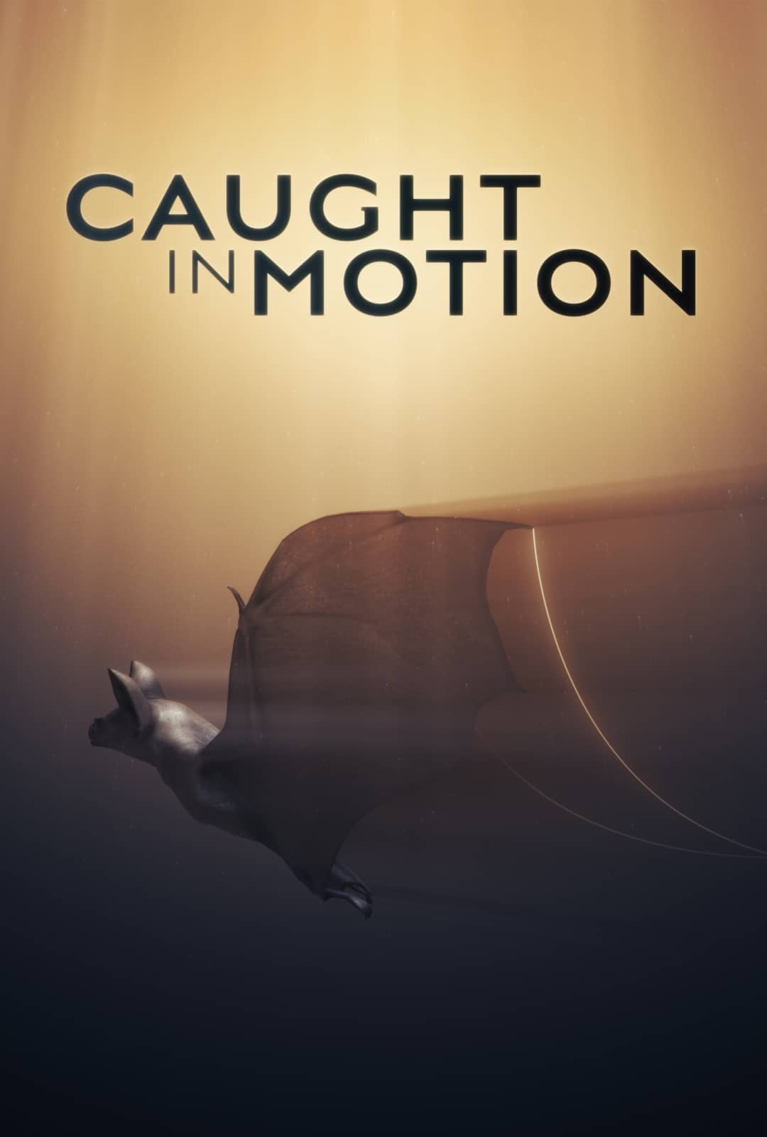 Poster for Caught in Motion. Foley: Infidel Studios.