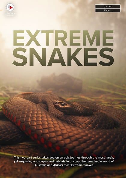 Poster for Extreme Snakes. Foley: Infidel Studios.
