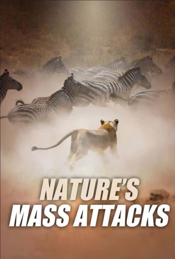 Poster for Natures Mass Attacks. Foley: Infidel Studios.