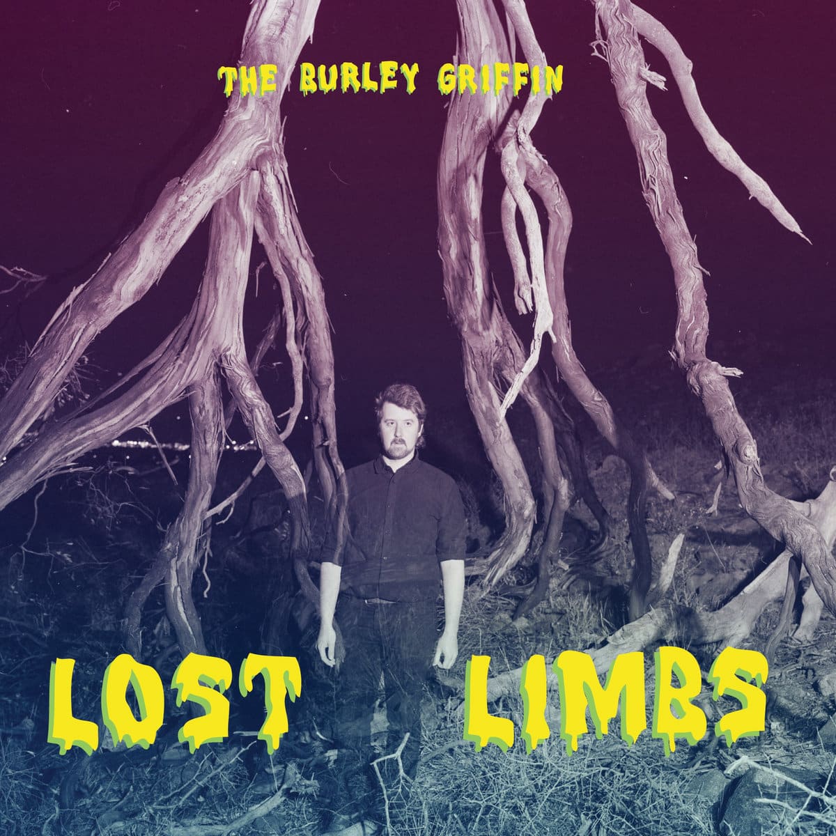 Cover art for Lost Limbs by The Burley Griffin. Record drums, bass, guitars & keys: Infidel Studios