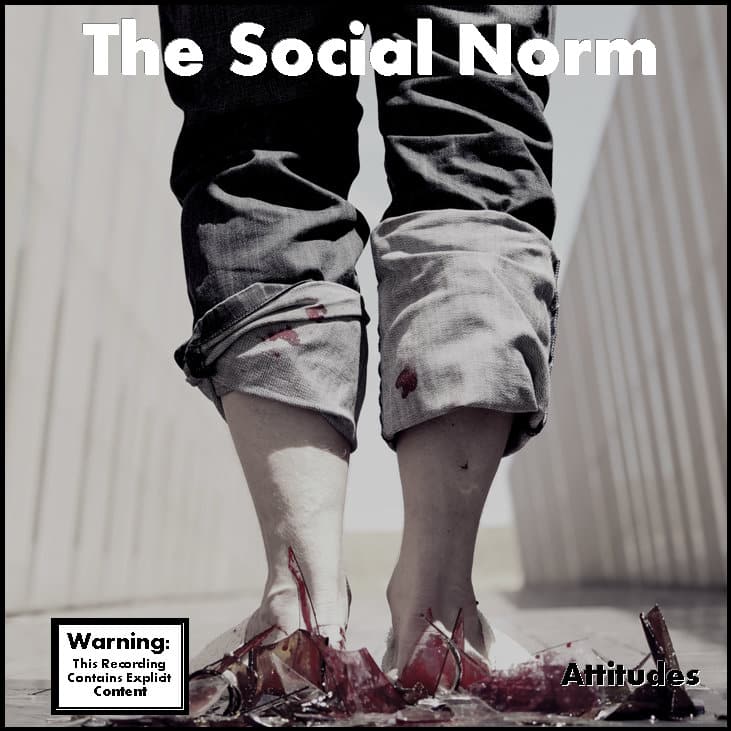 Cover art for Yours & Mine by The Social Norm. Full record & mix: Infidel Studios
