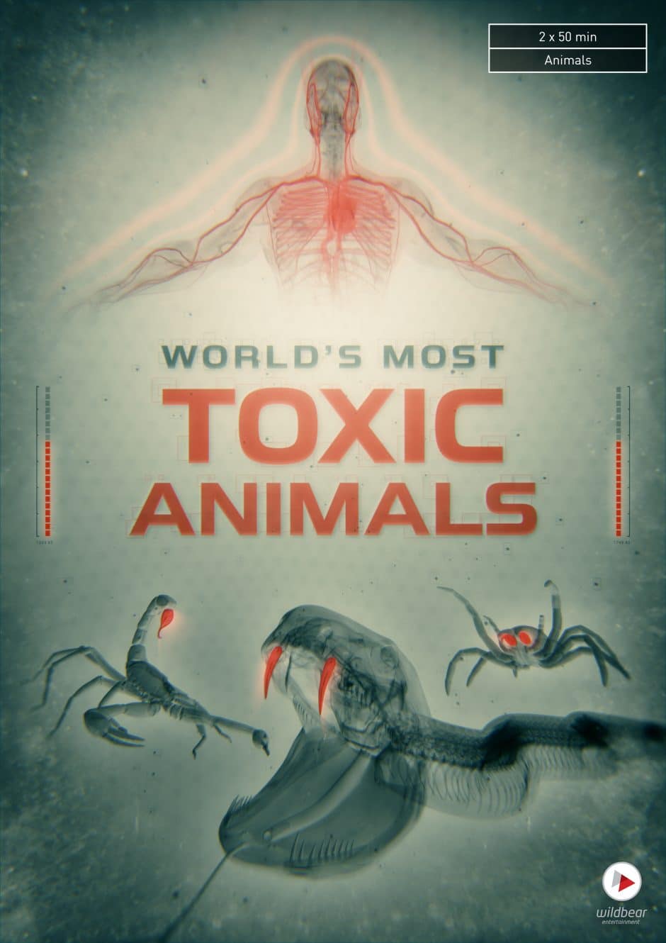 Poster for Worlds Most Toxic Animals. Foley: Infidel Studios.