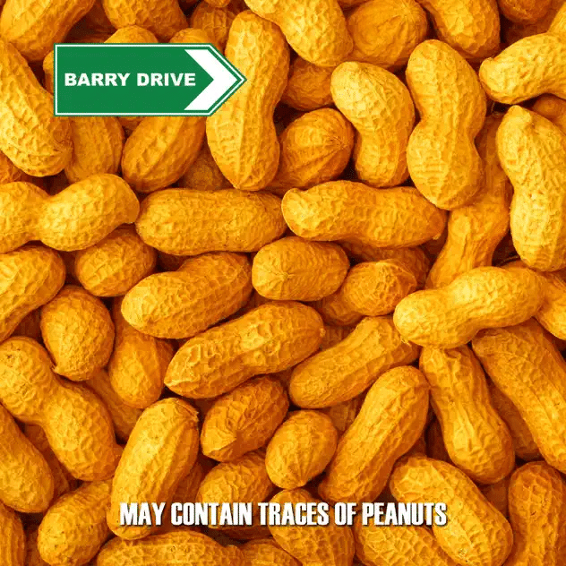 Cover art for May Contain Traces Of Peanuts by Barry Drive. Full record & mix: Infidel Studios