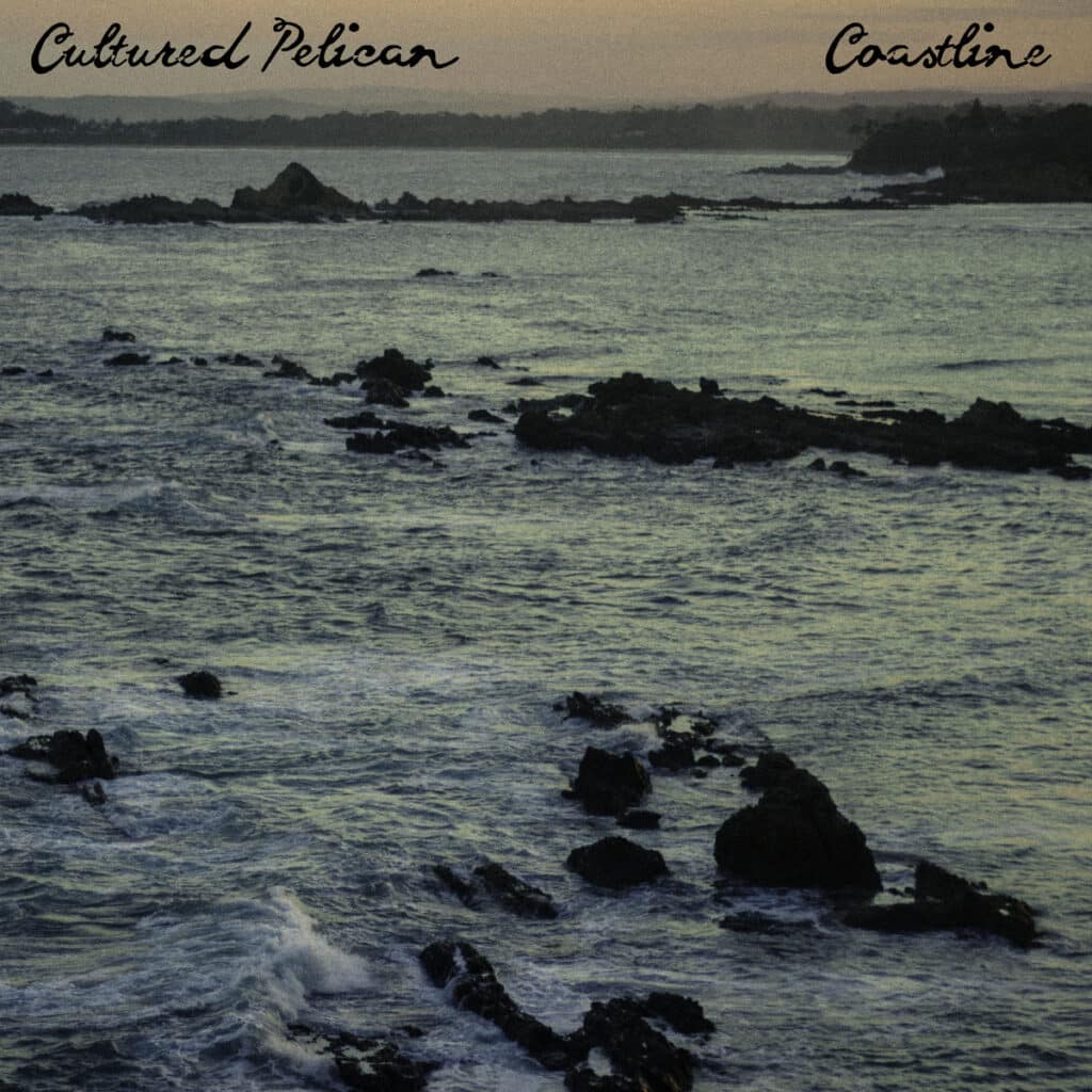 Cover art for Coastline by Cultured Pelican. Record: All music & vocals: Infidel Studios